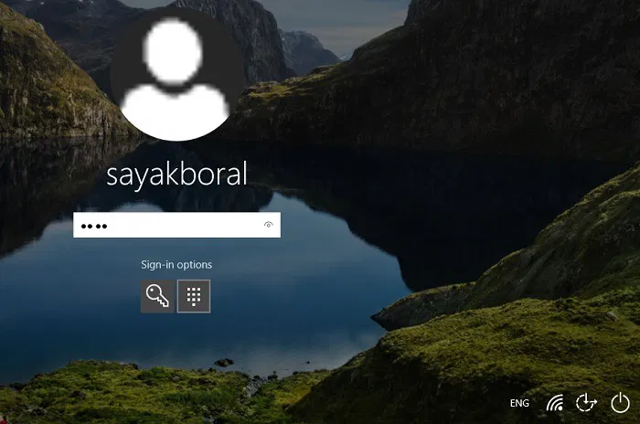 Windows Autologon Software
